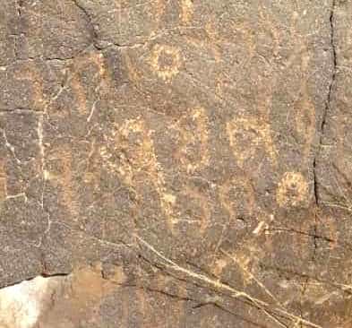 الشرعي بني مهدي 1